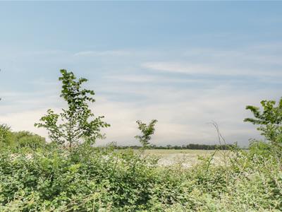 Picture 22